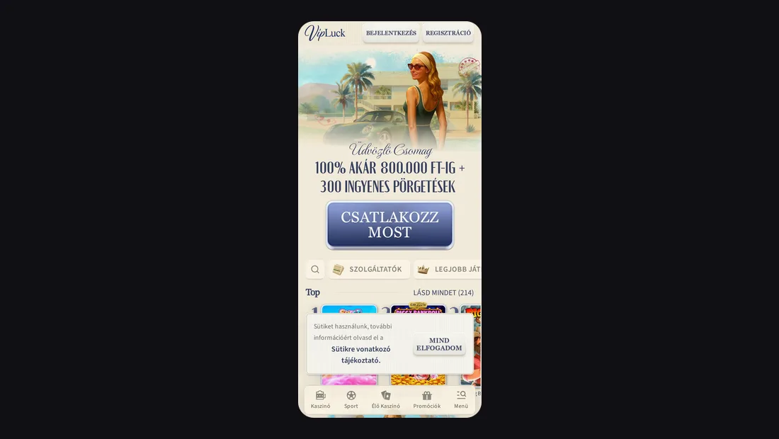 Mobile Experience and Site Usability